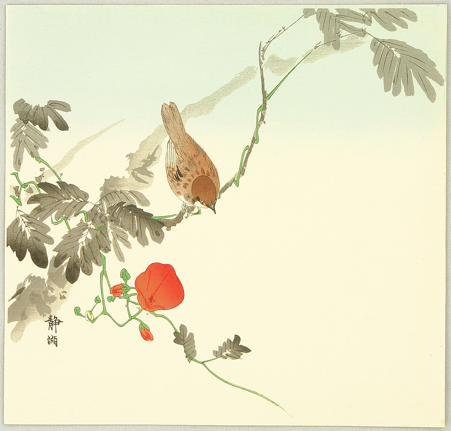 静湖: Sparrow and Red Flower - Artelino - 浮世絵検索