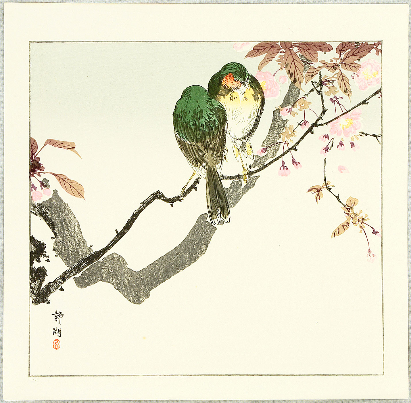 静湖: Two Green Birds on Cherry Tree - Artelino - 浮世絵検索