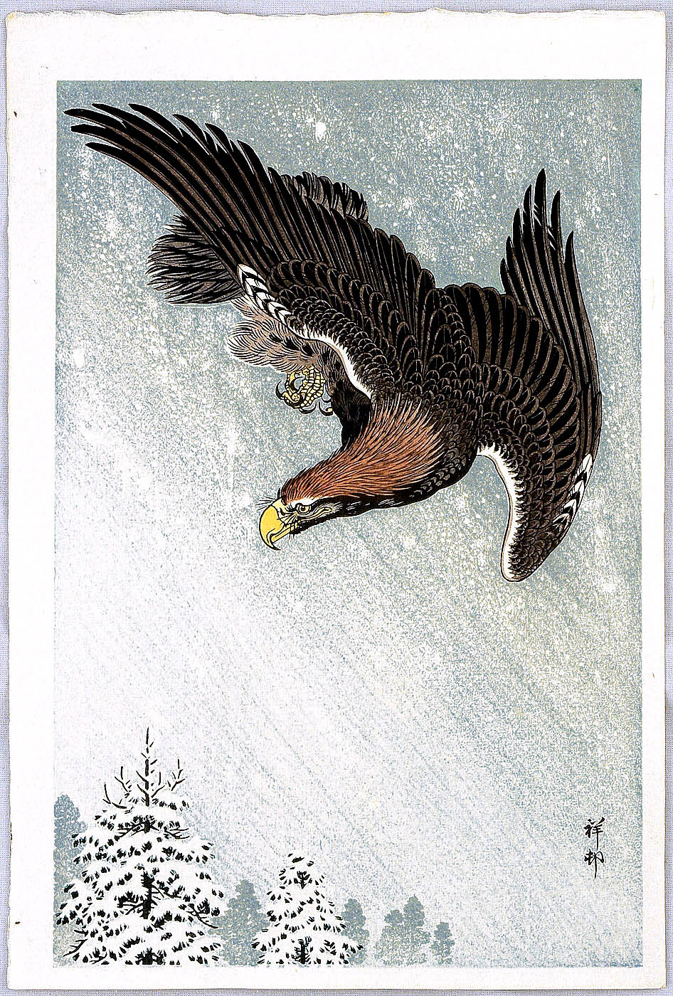 小原古邨: Eagle in Flight - Artelino - 浮世絵検索