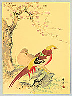 Hobun Kikuchi 1862-1918 - Two Chinese Pheasants - artelino Art Auctions. Hobun Kikuchi 1862-1918 - Two Chinese Pheasants