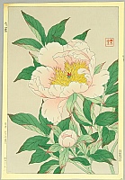 Shodo Kawarazaki 1889-1973 - Peony - artelino Art Auctions. Shodo Kawarazaki 1889-1973 - Peony