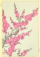 Shodo Kawarazaki 1889-1973 - Red Plum - artelino Art Auctions. Shodo Kawarazaki 1889-1973 - Red Plum