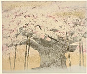 Unknown - Ancient Cherry Tree - artelino Art Auctions. Unknown - Ancient Cherry Tree