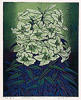 Dong Jinfeng born 1966 - Lily