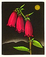 Shigeru Oda born 1933 - Bellflower No.1 - artelino Art Auctions. Shigeru Oda born 1933 - Bellflower No.1
