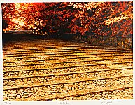 Hideaki Kato born 1954 - Deep Red Approach to a Shrine - artelino Art Auctions. Hideaki Kato born 1954 - Deep Red Approach to a Shrine