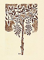 Unichi Hiratsuka 1895-1997 - Nandin Tree - Hanga Vol.8 - artelino Art Auctions. Unichi Hiratsuka 1895-1997 - Nandin Tree - Hanga Vol.8