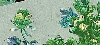Wang Yuhui born 1959 - Blossom in Four Seasons