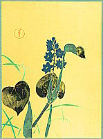 Sekka Kamisaka 1866-1942 - Blue Flower - artelino Art Auctions. Sekka Kamisaka 1866-1942 - Blue Flower