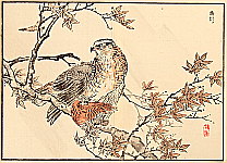Bairei Kono 1844-1895 - Hawk - artelino Art Auctions. Bairei Kono 1844-1895 - Hawk