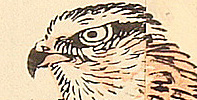 Bairei Kono 1844-1895 - Hawk - artelino Art Auctions. Bairei Kono 1844-1895 - Hawk