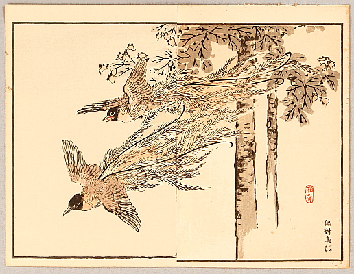 Bairei Kono 1844-1895 - Paradise Bird