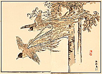 Bairei Kono 1844-1895 - Paradise Bird - artelino Art Auctions. Bairei Kono 1844-1895 - Paradise Bird
