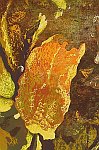 Zhao Jingxiang born 1982 - Series of Flower No. 1 - artelino Art Auctions. Zhao Jingxiang born 1982 - Series of Flower No. 1