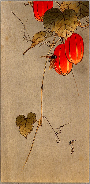 Gyosui Kawanabe 1868-1935 - Bee and Red Fruit - artelino Art Auctions. Gyosui Kawanabe 1868-1935 - Bee and Red Fruit
