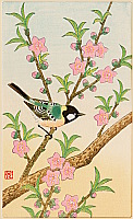 Shizuo Ashikaga fl.ca. 1950s - Peach Blossoms and Small Bird - artelino Art Auctions. Shizuo Ashikaga fl.ca. 1950s - Peach Blossoms and Small Bird