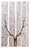 Hao Boyi born 1938 - Coronal