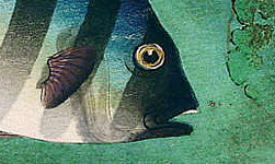 Bakufu Ono 1888-1976 - Striped Fish - artelino Art Auctions. Bakufu Ono 1888-1976 - Striped Fish