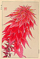 Shodo Kawarazaki 1889-1973 - Red Amaranth - artelino Art Auctions. Shodo Kawarazaki 1889-1973 - Red Amaranth