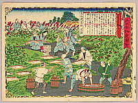 Hiroshige III Utagawa 1842-1894 - Harvesting Arrowroot - Pictures of Products and Industries of Japan - artelino Art Auctions. Hiroshige III Utagawa 1842-1894 - Harvesting Arrowroot - Pictures of Products and Industries of Japan