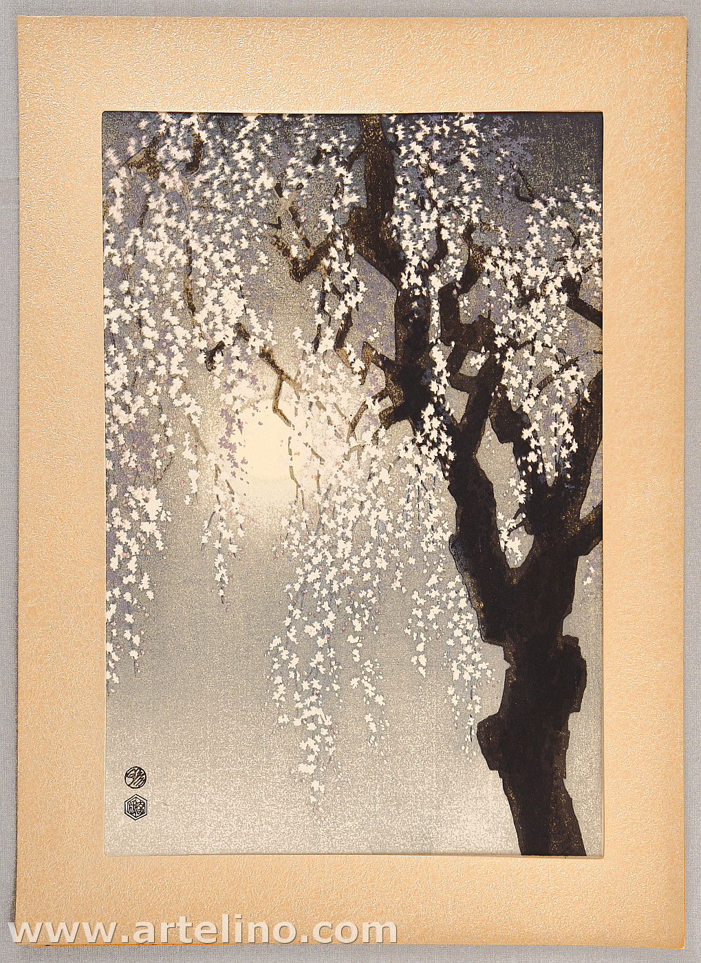 Kotozuka Eiichi: Drooping Cherry Blossoms - 垂れ桜 - Ohmi Gallery 