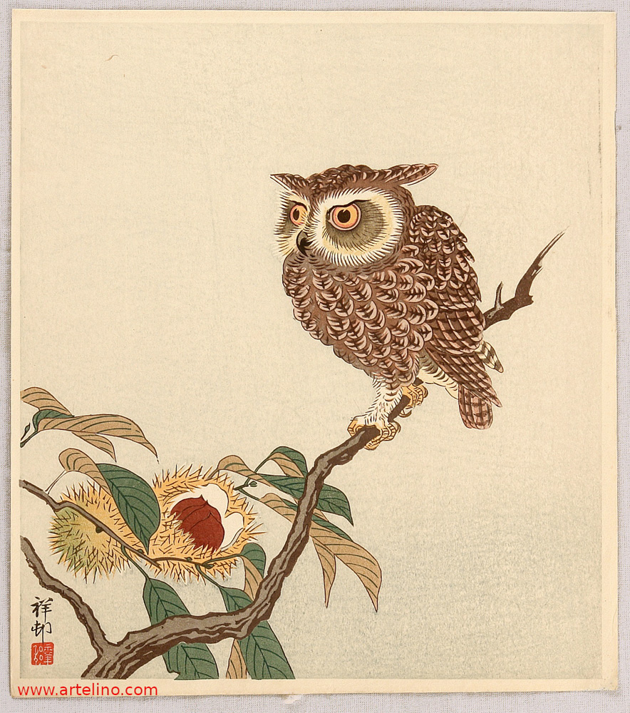 小原古邨: Owl and Chestnut - Artelino - 浮世絵検索
