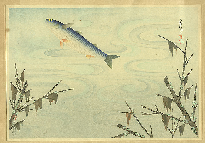 Bakufu Ono 1888-1976 - Grey Mullet - Pictures of Fish in Japan Vol.3