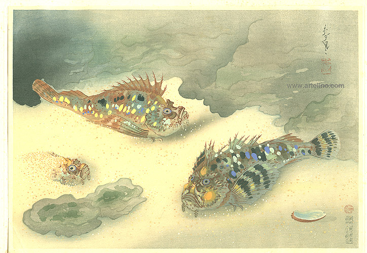 By Ohno Bakufu - Scorpion Fish - Pictures of Fish in Japan Vol.3