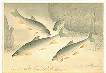 Bakufu Ono 1888-1976 - Dace - Pictures of Fish in Japan Vol.3 - artelino Art Auctions. Bakufu Ono 1888-1976 - Dace - Pictures of Fish in Japan Vol.3
