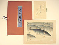 Bakufu Ono 1888-1976 - Bonito - Pictures of Fish in Japan Vol.3 - artelino Art Auctions. Bakufu Ono 1888-1976 - Bonito - Pictures of Fish in Japan Vol.3