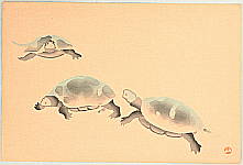 Unknown - Turtles - artelino Art Auctions. Unknown - Turtles