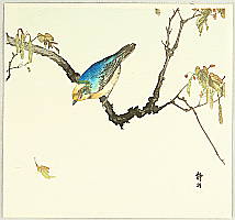 Seiko active ca. 1890 - 1900 - Blue Bird