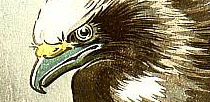 Koitsu Tsuchiya 1870-1949 - Eagle over Waves - artelino Art Auctions. Koitsu Tsuchiya 1870-1949 - Eagle over Waves