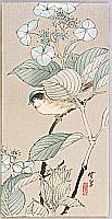 Gyosui Kawanabe 1868-1935 - Bird and Hydrangea - artelino Art Auctions. Gyosui Kawanabe 1868-1935 - Bird and Hydrangea