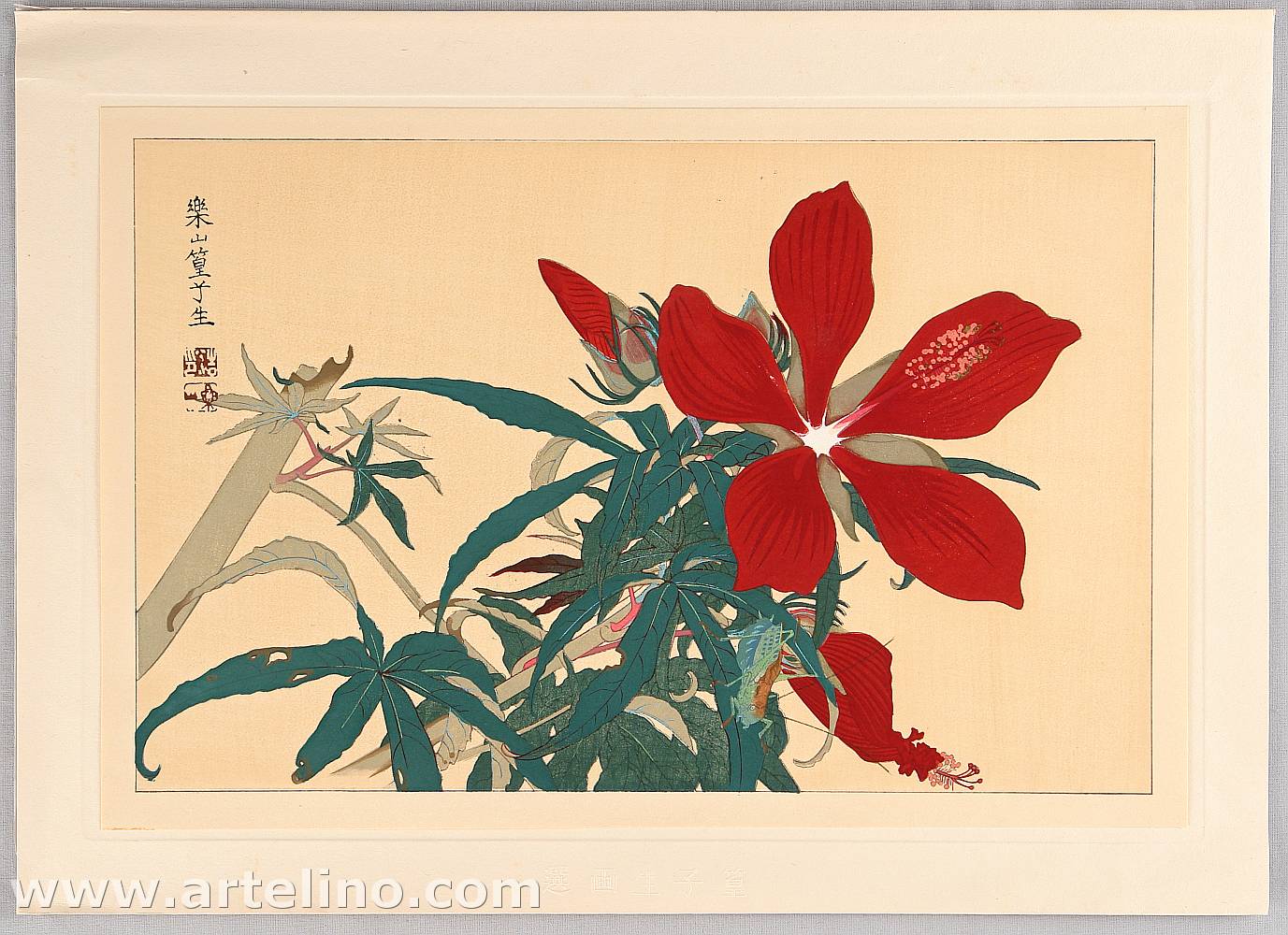 Rakusan Tsuchiya: Flowers - Japanese Art Open Database - 浮世絵検索