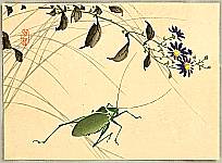 Hobun Kikuchi 1862-1918 - Grasshopper and Flowers - artelino Art Auctions. Hobun Kikuchi 1862-1918 - Grasshopper and Flowers