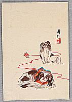 not identified - Dogs and String