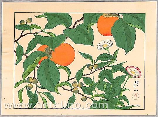 Hoitsu Sakai 1761-1828 - Persimmons and Flowers