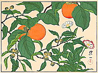Hoitsu Sakai 1761-1828 - Persimmons and Flowers - artelino Art Auctions. Hoitsu Sakai 1761-1828 - Persimmons and Flowers