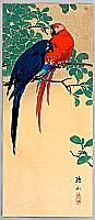 Sozan Ito 1884-? - Two Macaws - artelino Art Auctions. Sozan Ito 1884-? - Two Macaws