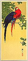 Sozan Ito 1884-? - Two Macaws - artelino Art Auctions. Sozan Ito 1884-? - Two Macaws