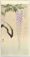 Koson Ohara 1877-1945 - Wisteria and Bee