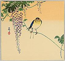 Koson Ohara 1877-1945 - Barn Swallow on Wisteria
