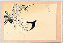 Hanko Kajita 1870-1917 - Twelve Months of Japan, Birds and Plants - Swallow and Wisteria - artelino Art Auctions. Hanko Kajita 1870-1917 - Twelve Months of Japan, Birds and Plants - Swallow and Wisteria