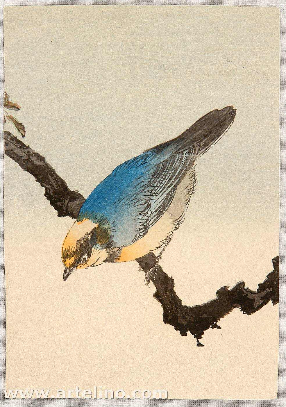 静湖: Blue Bird - Artelino - 浮世絵検索