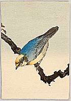 Seiko active ca. 1890 - 1900 - A Tit on a Branch - artelino Art Auctions. Seiko active ca. 1890 - 1900 - A Tit on a Branch