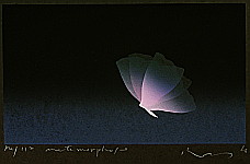 Kozo Inoue born 1937 - Metamorphose - artelino Art Auctions. Kozo Inoue born 1937 - Metamorphose