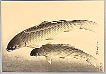 Bakufu Ono 1888-1976 - Pictures of Fish in Japan - Carp - artelino Art Auctions. Bakufu Ono 1888-1976 - Pictures of Fish in Japan - Carp