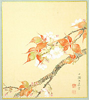 Baisai Kano 1883-1969 - Cherry Blossoms - artelino Art Auctions. Baisai Kano 1883-1969 - Cherry Blossoms