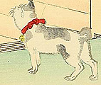 Toshikata Mizuno 1866-1908 - Bijin and Cat - Thirty-six Selected Beauties